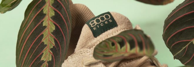 A zoom up of the shoe tag that says 8000Kicks with leaves surrounding the shoe