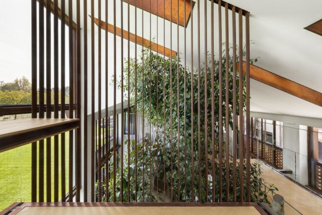 Wooden slats partially obscuring a tree inside a home.