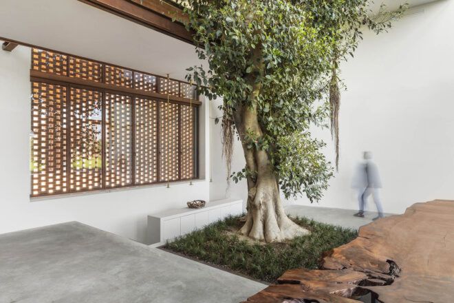 A tree in the middle of a home.