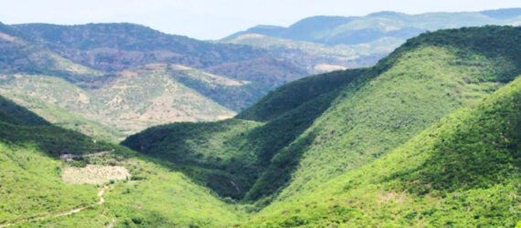 Forested hills.
