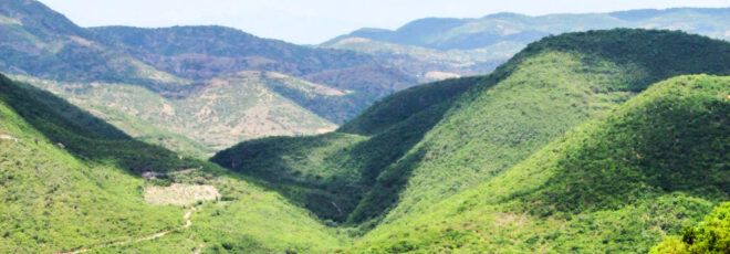 Forested hills.