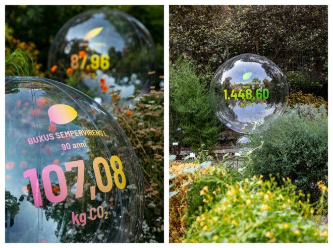 Left to right: A close up of kilograms of CO2, a close up of another bubble in a garden
