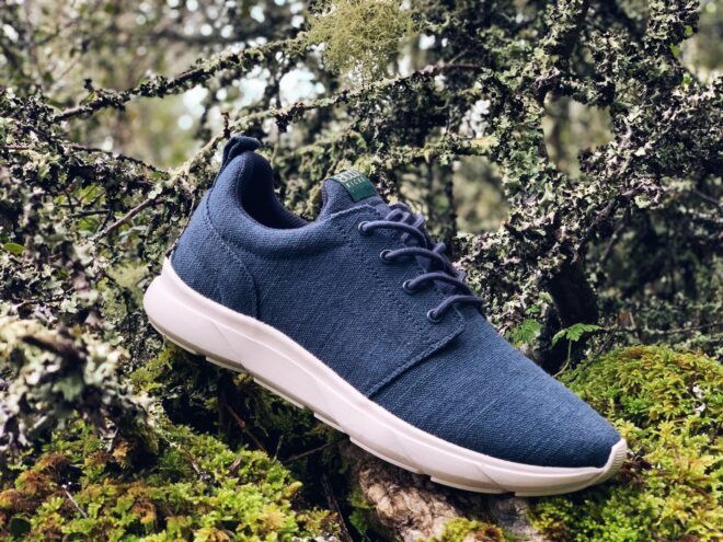 A blue sneaker displayed on some moss-covered branches