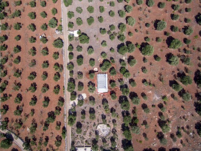 An aerial view of a white building surrounded my trees scattered around sparsely