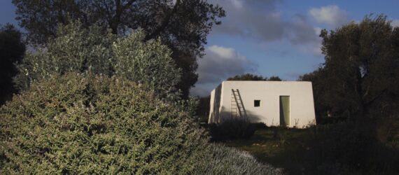 A white building hidden in an area of trees