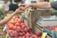 A hand handing a fruit to another hand behind a counter with a scale and stand of fruits