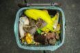 A bin filled with food scraps lined in a green bag