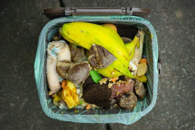 A bin filled with food scraps lined in a green bag