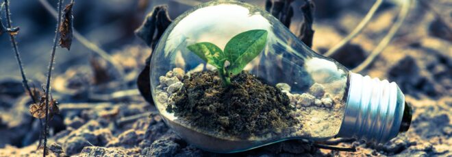A lightbulb with dirt and a small sprout inside of it