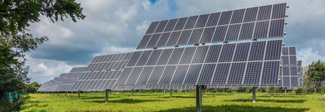 Solar panels on a grassy field.
