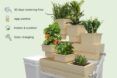 A series of indoor houseplants in a stacked arrangement