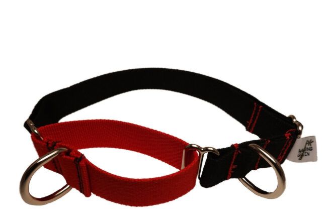 A red and black dog collar.