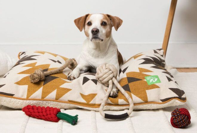 A dog on a dogbed surrounded by toys.
