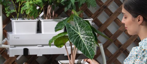 A woman holding a potted plant with more potted plants on shelves behind her