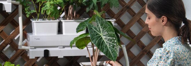 A woman holding a potted plant with more potted plants on shelves behind her
