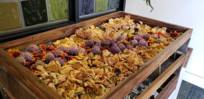 A bin of dried flowers