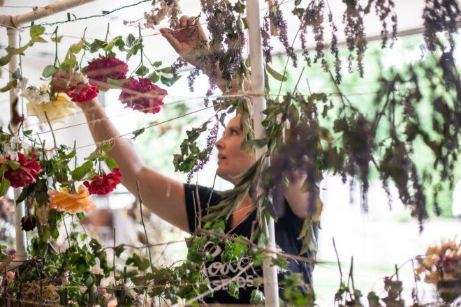 Amanda Bayha hanging flowers upside down to dry