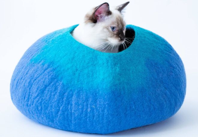 A white and black cat sitting in a blue cat cave.