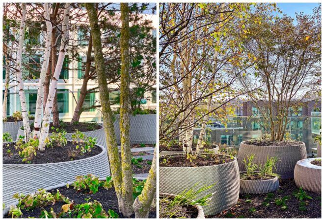 A close up of the different kinds of potted trees