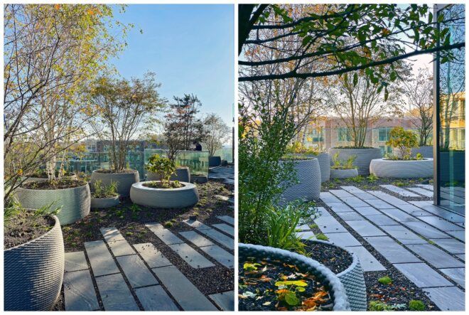 Photos of the terrace potted plants and stone tile floors that cover the dirt