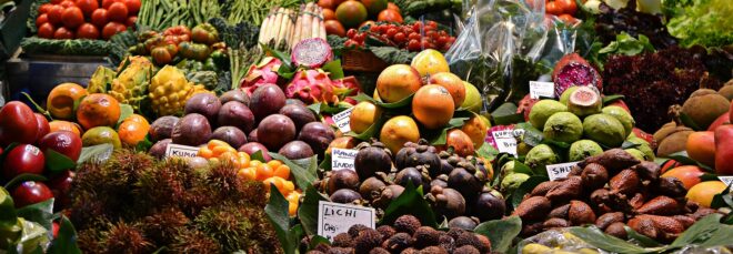 A variety of fruits and vegetables