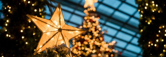 A star on a Christmas tree with other trees surrounding it all lit up with Christmas lights