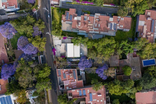 An aerial view of a green city.
