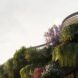 The top of a hi-rise building overflowing with green plants