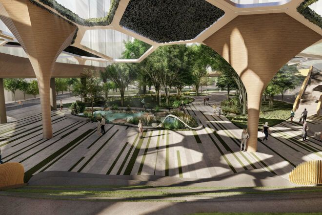 A shady, green courtyard area.