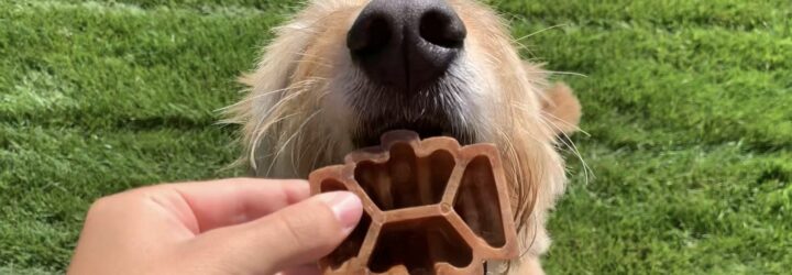 A hand putting a dog treat inside the open mouth of a dog
