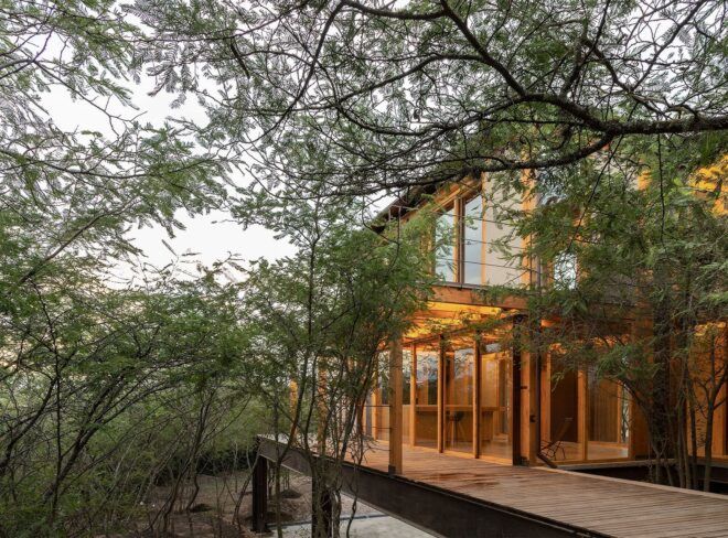A wooden house set in a forested area that it becomes covered in the branches