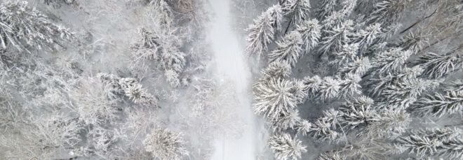 An aerial view of a snowy forest.