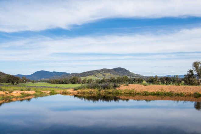 A lakeside vista.