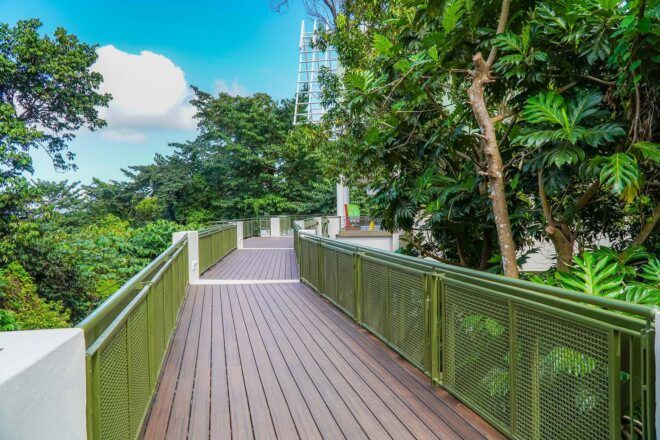 A walkway surrounded by nature.
