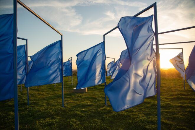 Blue flags waving in a field during sunset