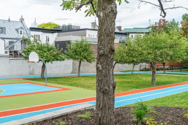 A grassy area that is divided as a basketball court and a grass area