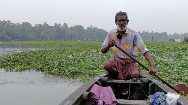 A dark-skinned man rowing a boat in a river in India filled with green vegetation that is floating along the surface