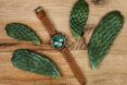 A brown watch against a wood background surrounded by green cactus leaves.