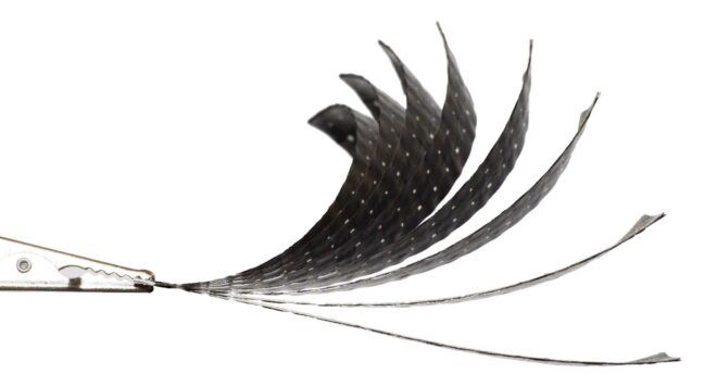 A single carbon fiber curling in multiple angles