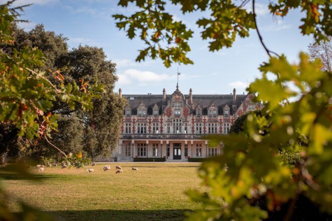 A chateau that is slightly covered by trees around the edges of the photo