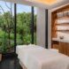 A bed and spa equipment set in front of a floor-to-ceiling
