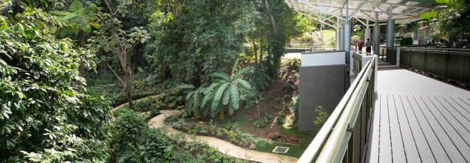 A green nature path.