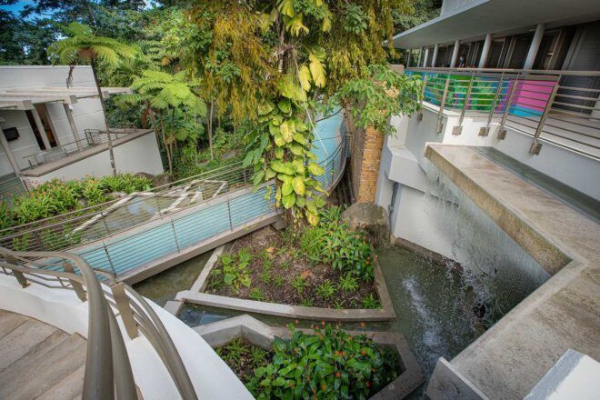 A walkway surrounded by nature.