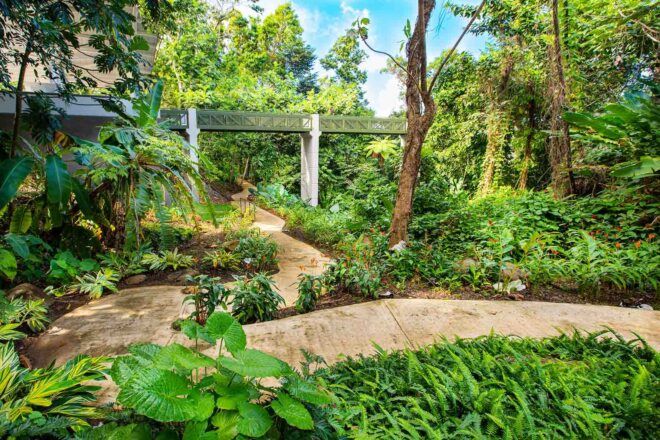A walkway surrounded by nature.