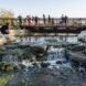 A long wooden bridge that overlooks a stream