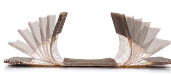 A long strip of wood that has flaps on either side like the wings of a bird
