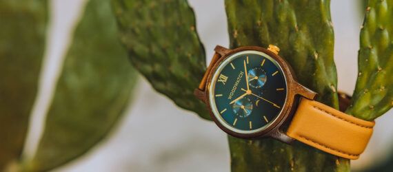 A watch looped around a cactus.