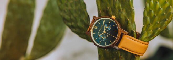 A watch looped around a cactus.
