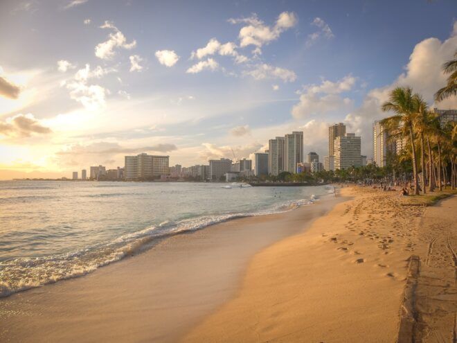 A beach with clear blue water and sand with palm trees and skyscrapers in the distance
