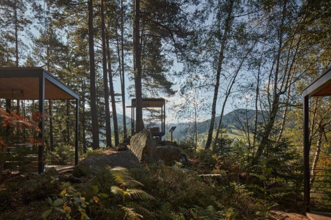 Within a forest an area to sit underneath for shade and picnics